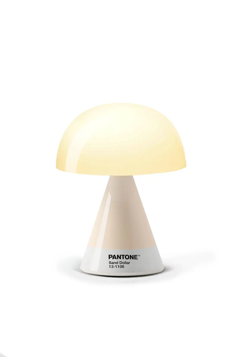 Sand Dollar PANTONE