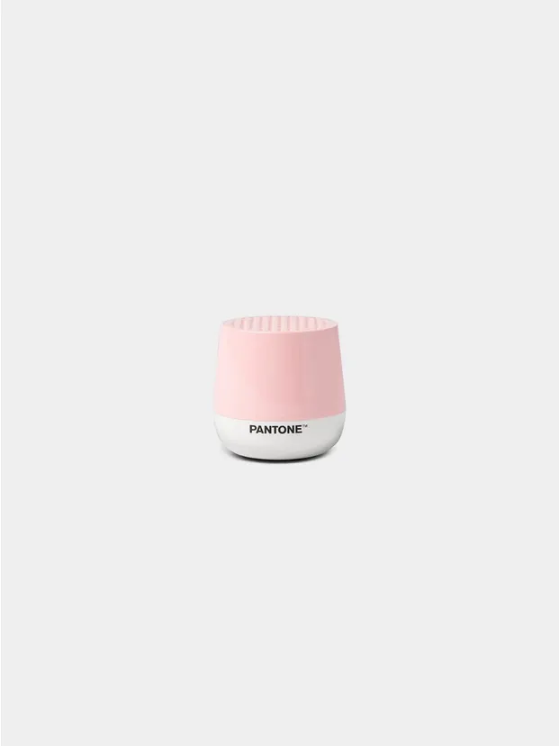 Rose Quartz PANTONE