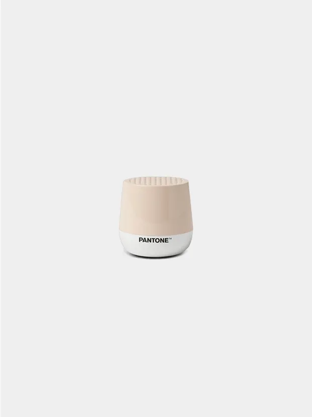 Sand Dollar PANTONE
