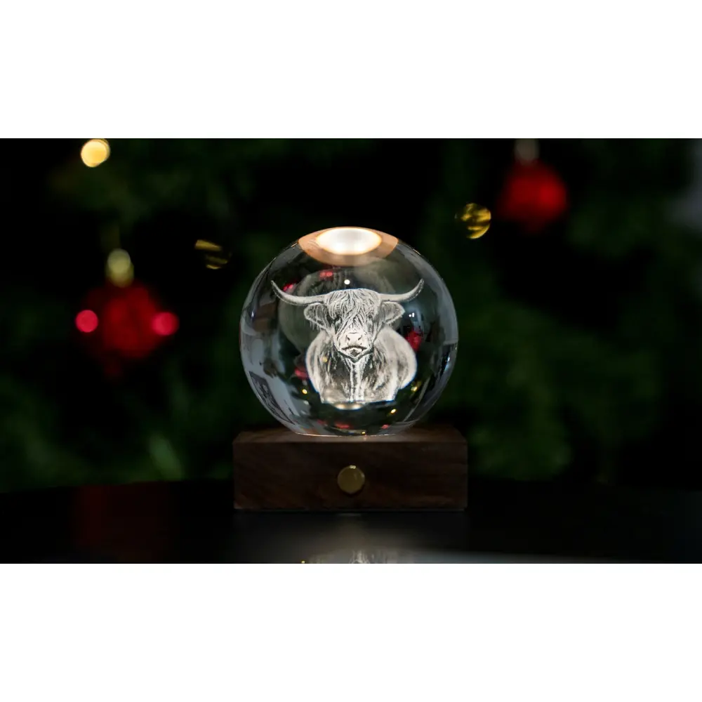 Amber Crystal Light05
