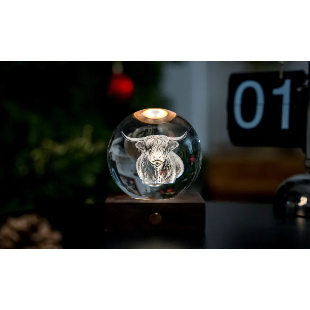 Amber Crystal Light06