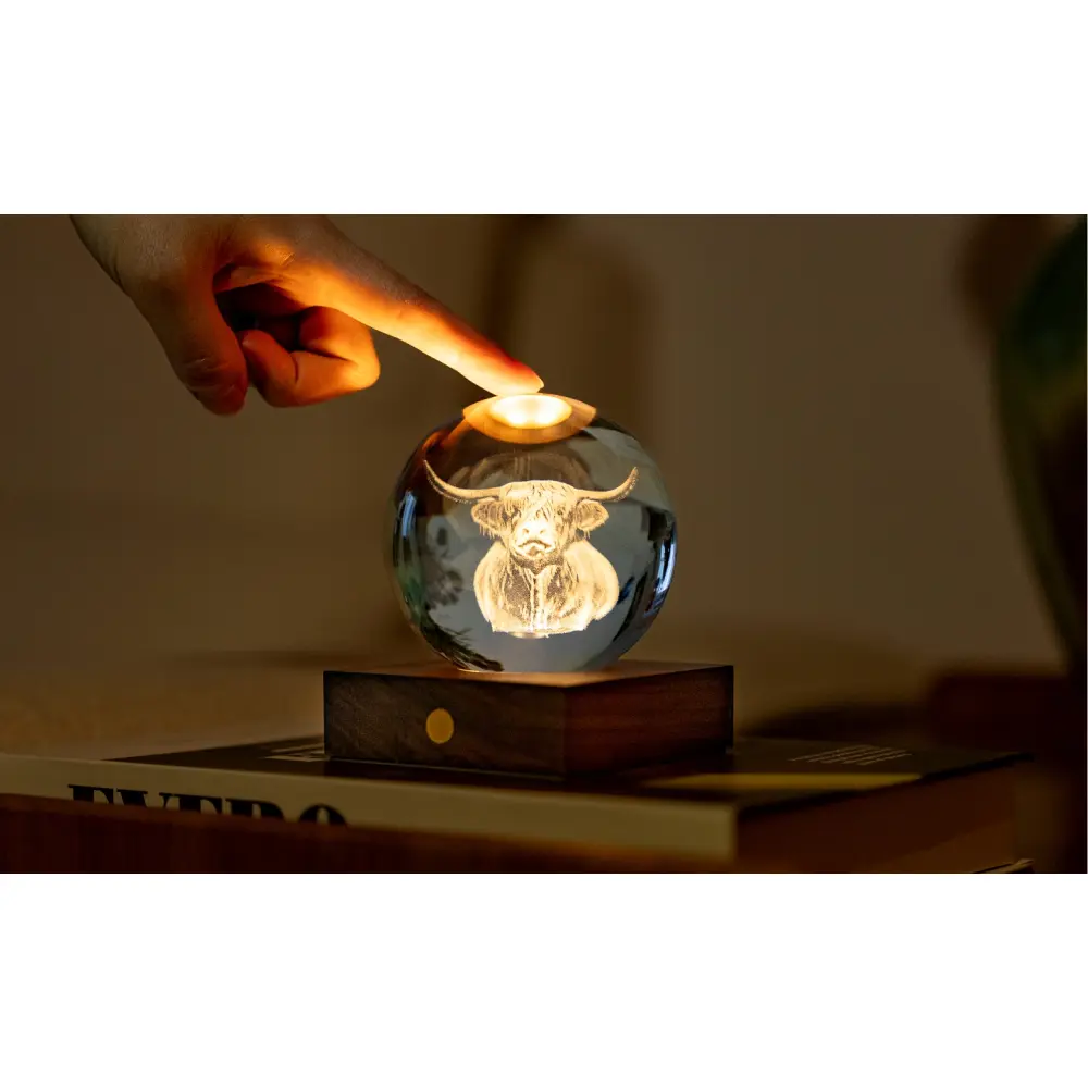 Amber Crystal Light24